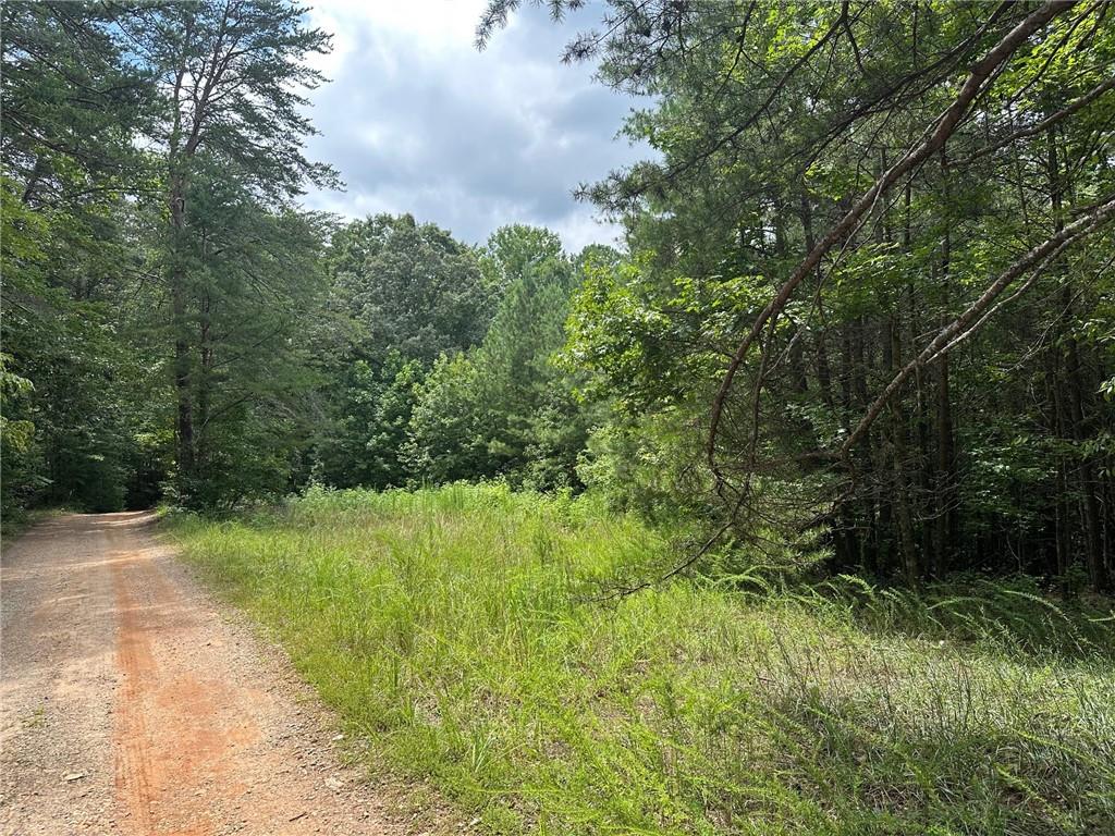 Unrestricted!! Amazing Dawsonville, Lumpkin County opportunity for a beautiful estate minutes off 400, but feels like a world away!! Double sided road frontage making it perfect access for your home on one side, and a small farm or home business on the other! Build a large shop, barn, or lot for all your toys or equipment. Best homesite is accessed off Charlie Lemley. Secondary access is off Reeves & Norrell. This property offers an abundance of privacy and is unrestricted and ready for your creativity.