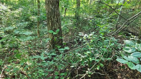 Vacant Land For Sale - Imperial Drive<br/> Cumming, GA 30041