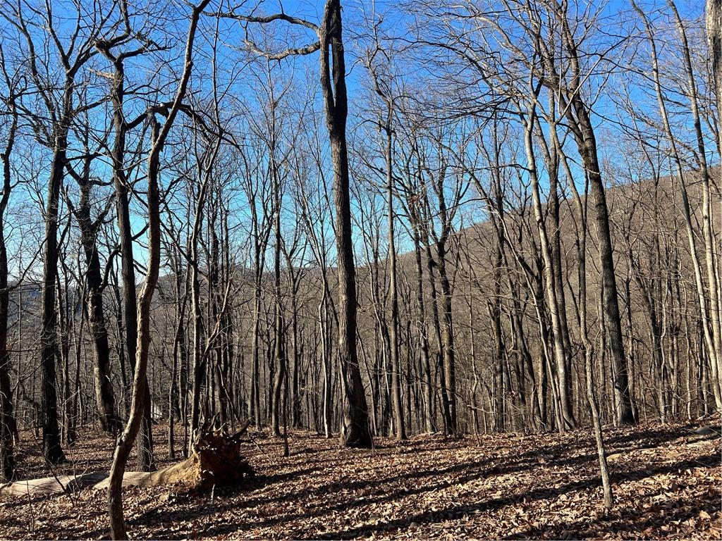 245 Sassafras Mountain Trail