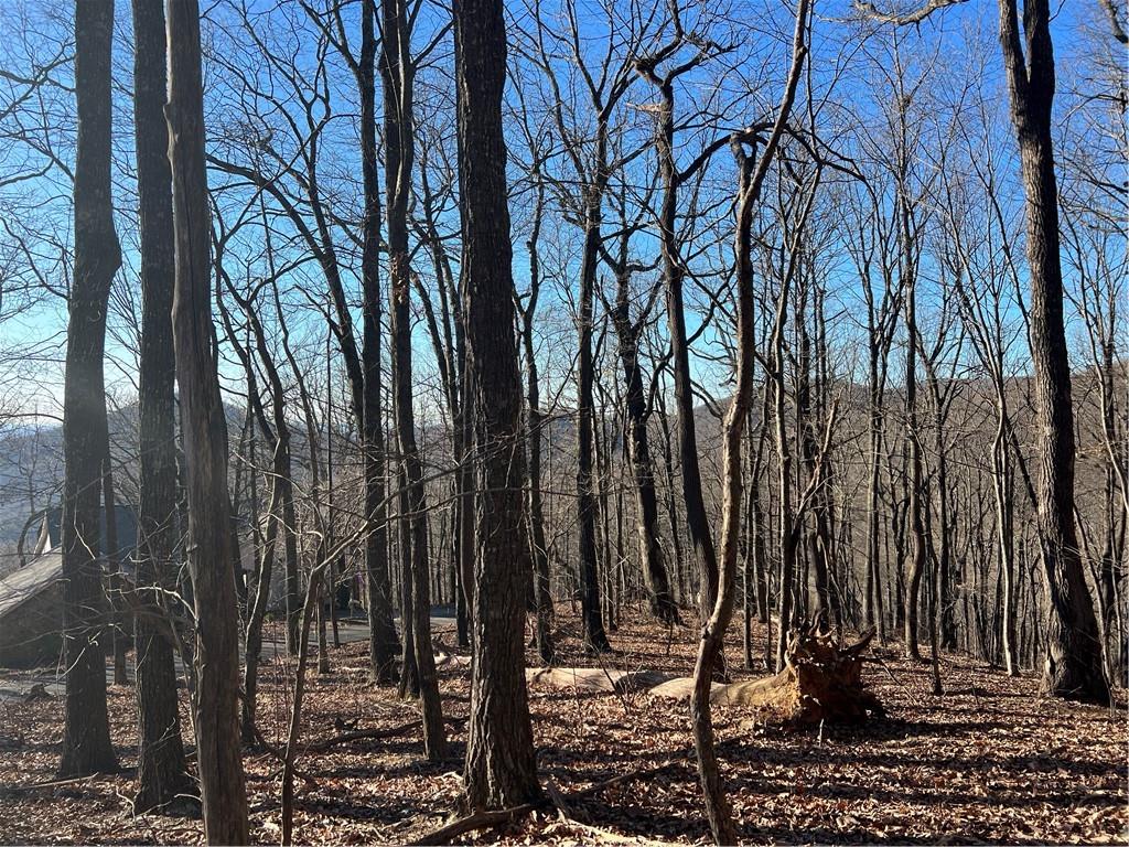 245 Sassafras Mountain Trail