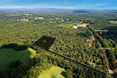 Vacant Land For Sale - 7704 Georgia Highway 100<br/> Buchanan, GA 30113