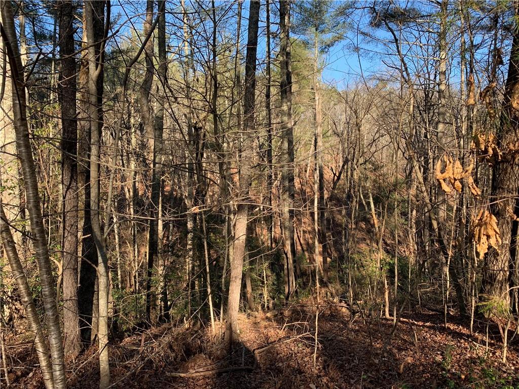 9317 Blackwell Creek Way