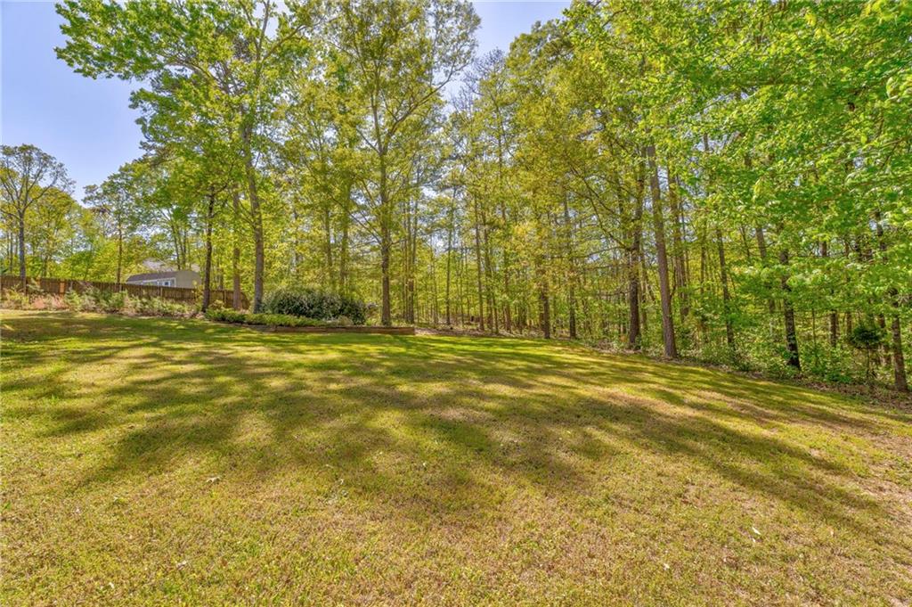 15 Rockaway Court, Cartersville, Georgia image 36