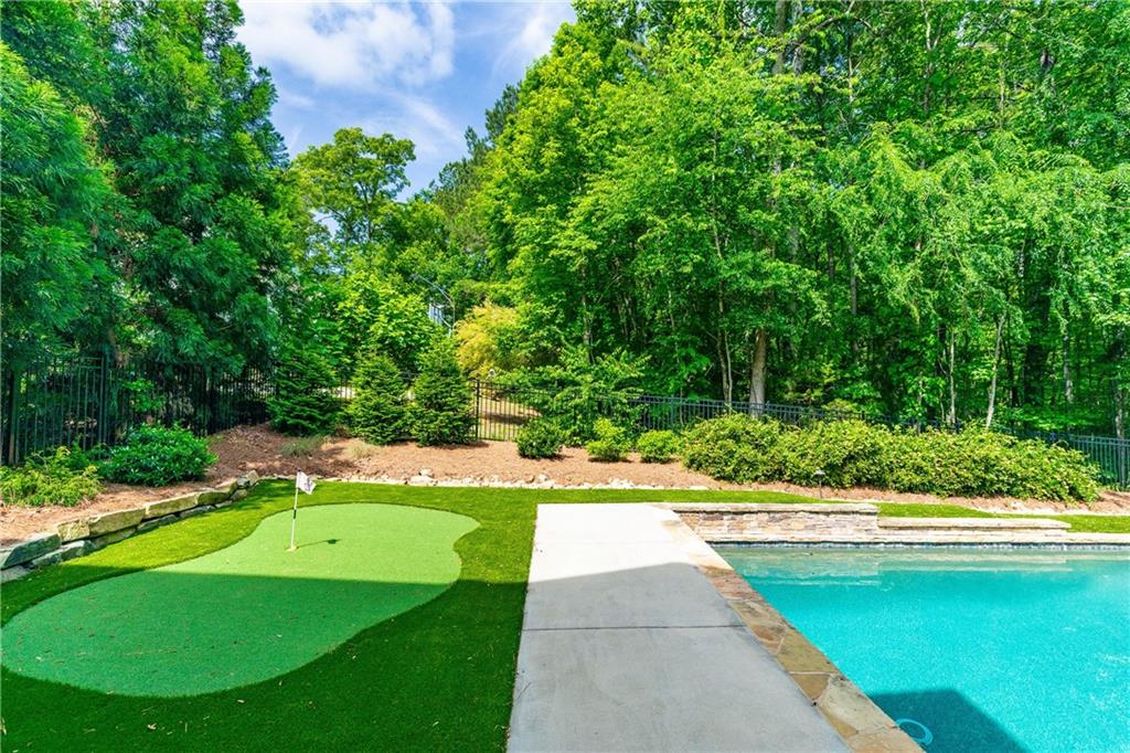 255 Ashmere Court, Tyrone, Georgia image 16