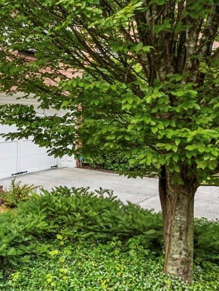Featured picture for the property 7810554