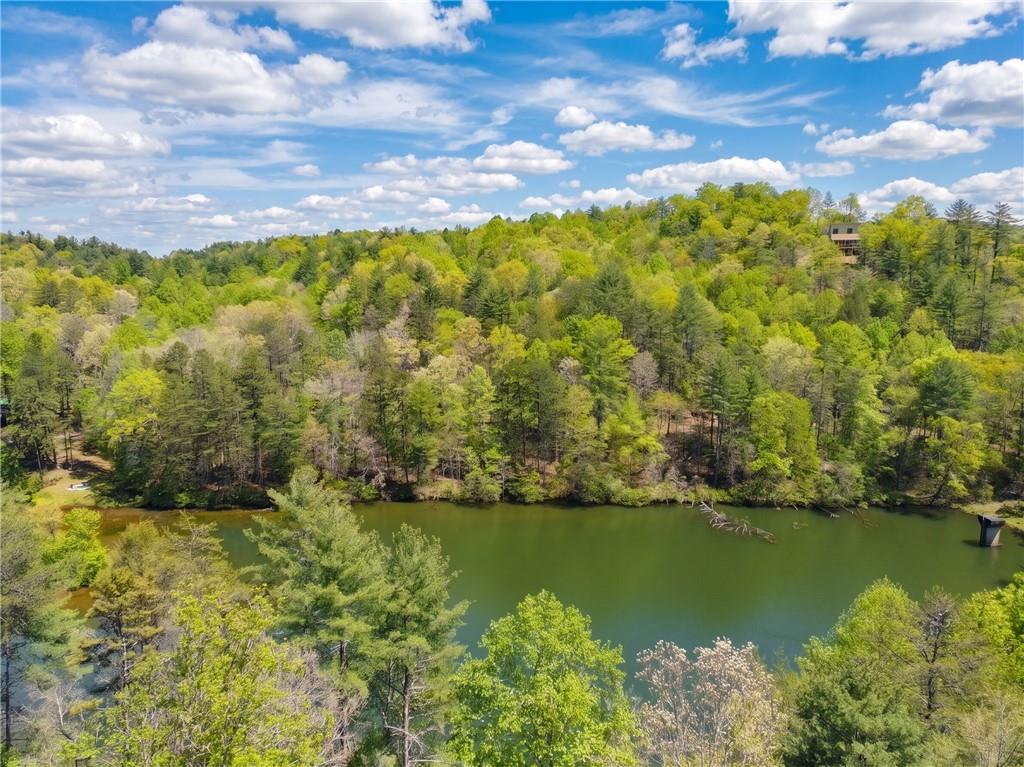 245 Bear Paw Trail