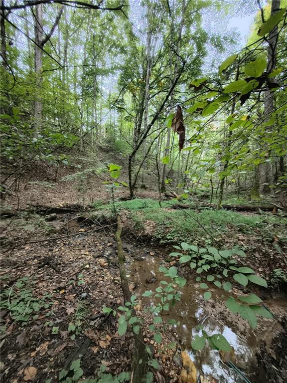 Chestatee Springs - Residential