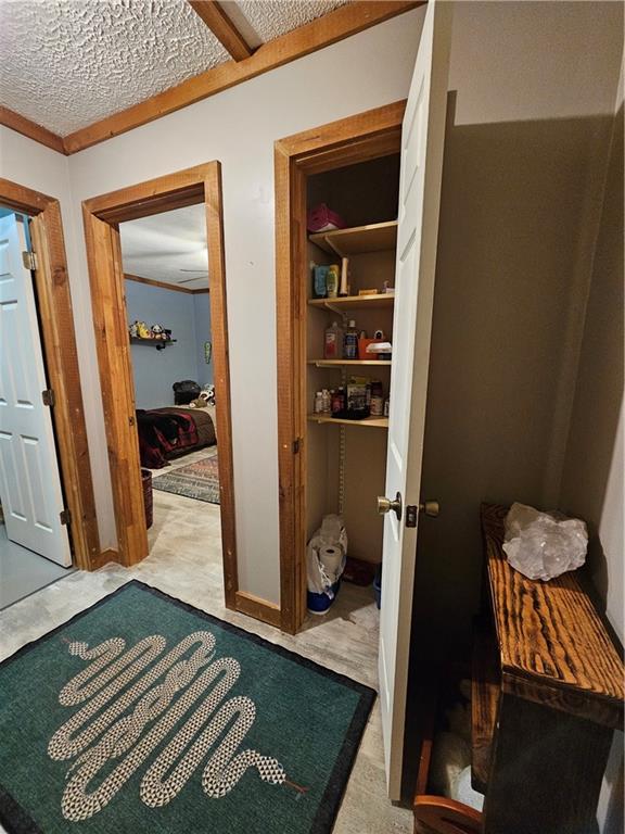 Chestatee Springs - Residential