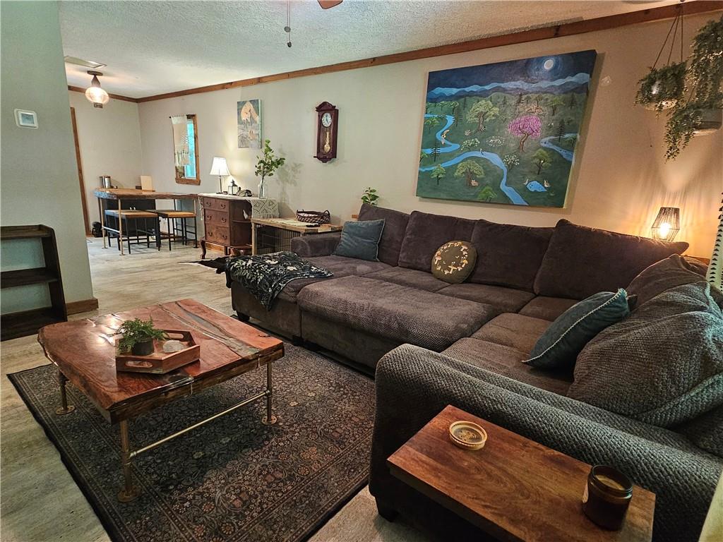 Chestatee Springs - Residential