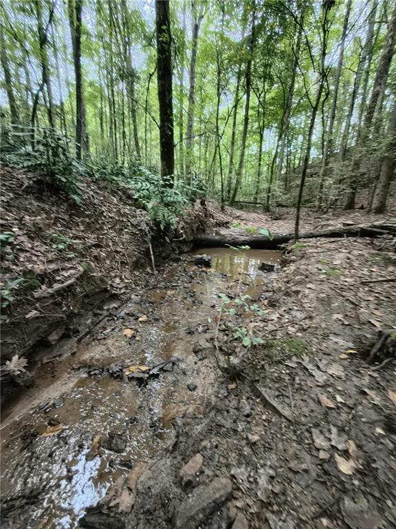 Chestatee Springs - Residential