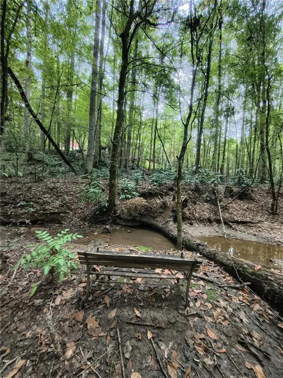 Chestatee Springs - Residential