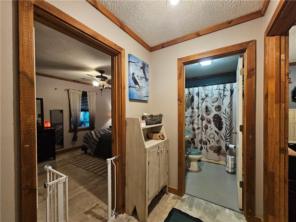 Chestatee Springs - Residential