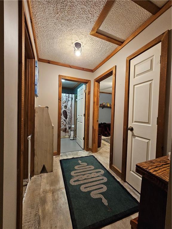 Chestatee Springs - Residential