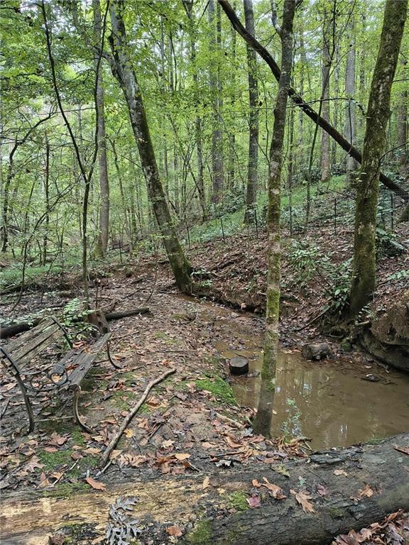 Chestatee Springs - Residential