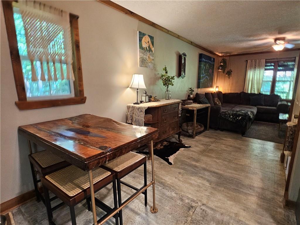 Chestatee Springs - Residential