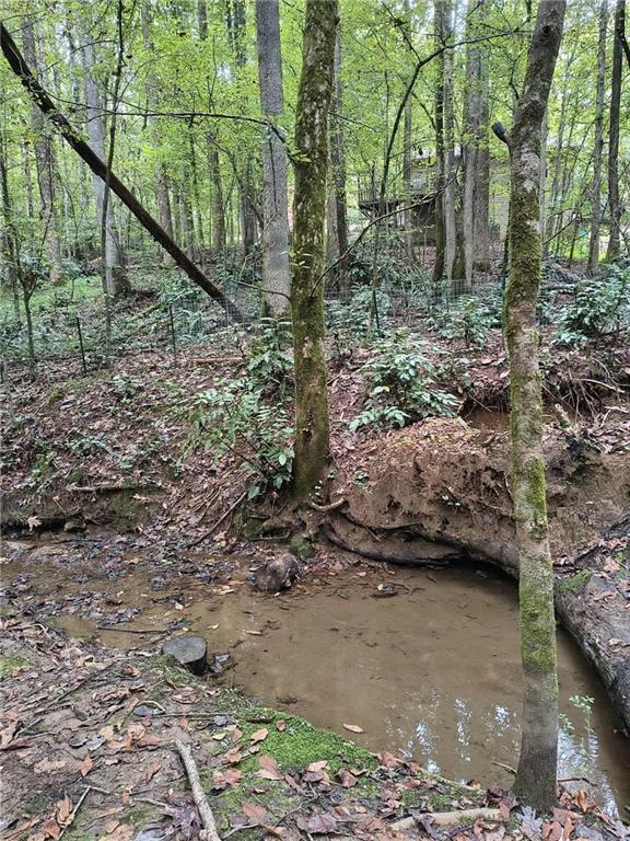 Chestatee Springs - Residential