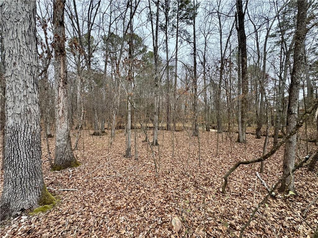 Brook Valley Court, Rome, Georgia image 6