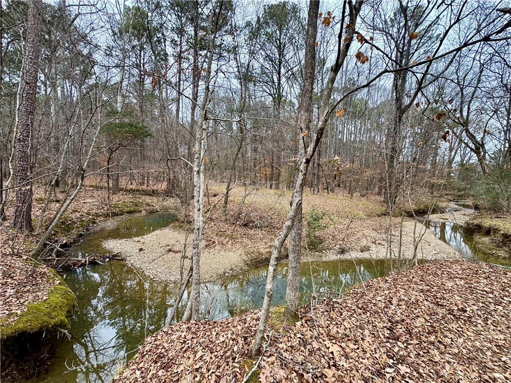 Brook Valley Court, Rome, Georgia image 7