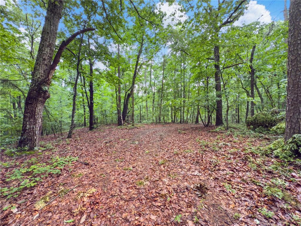 Rare Estate Lot Opportunity – 1.5 to 18 Acres Available
Estate lots like these are getting harder to find! This unique offering includes six beautiful, wooded lots ranging from 1.5 acres to 18 acres—perfect for building your dream home in a peaceful, private setting.
Each lot is fully walkable, with gentle terrain, mature hardwoods, and a natural landscape that provides both beauty and privacy. Utilities and water are already in place and readily available, making the build process even easier.
Lots are clearly numbered for easy viewing, and you're welcome to walk the property at your convenience. Don’t miss this rare opportunity to claim your piece of paradise.
Call today for details or a personal tour!