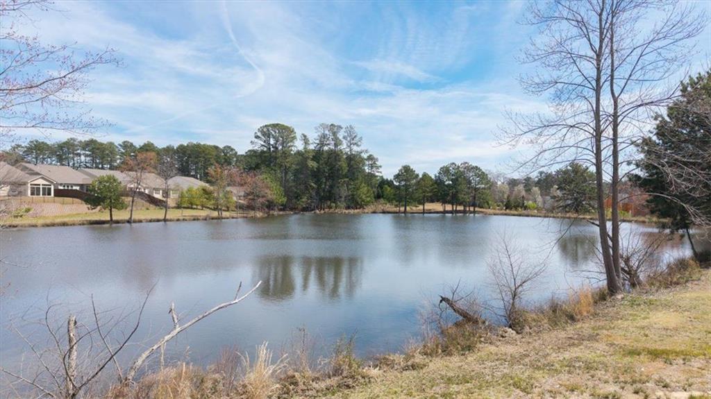 2917 Knob Creek Drive, Snellville, Georgia image 40