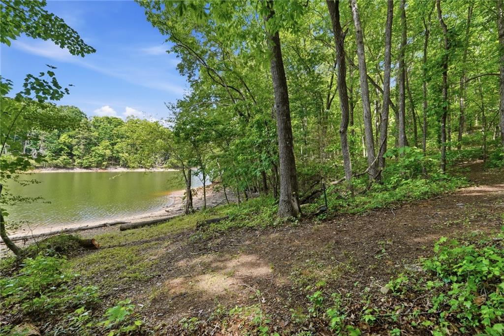 3480 Talking Leaves Trail