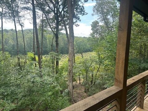 167 Meadow View Ct Ellijay GA 30536