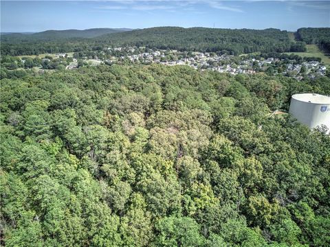 Vacant Land For Sale - Cline Smith<br/> Cartersville, GA 30121