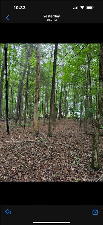 Glenn Road, Lula, Georgia image 5