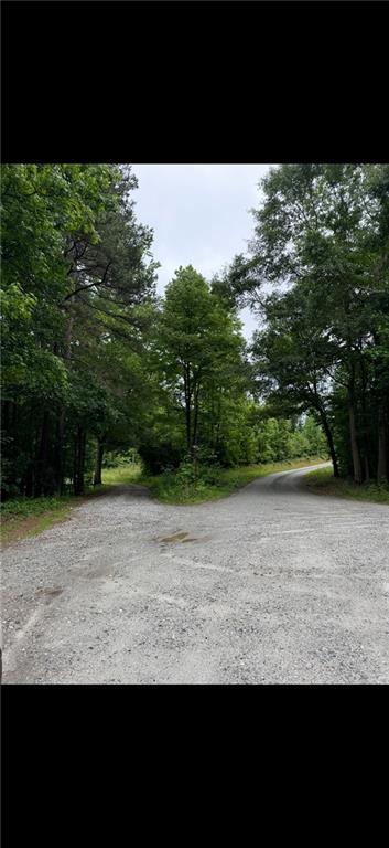 Glenn Road, Lula, Georgia image 17