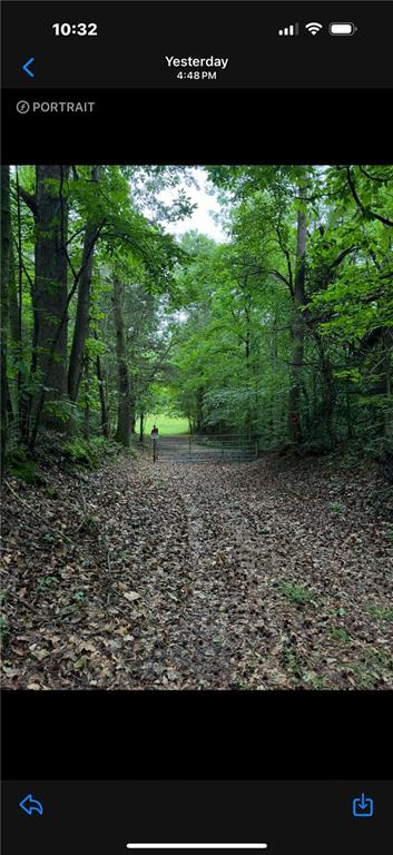 Glenn Road, Lula, Georgia image 15