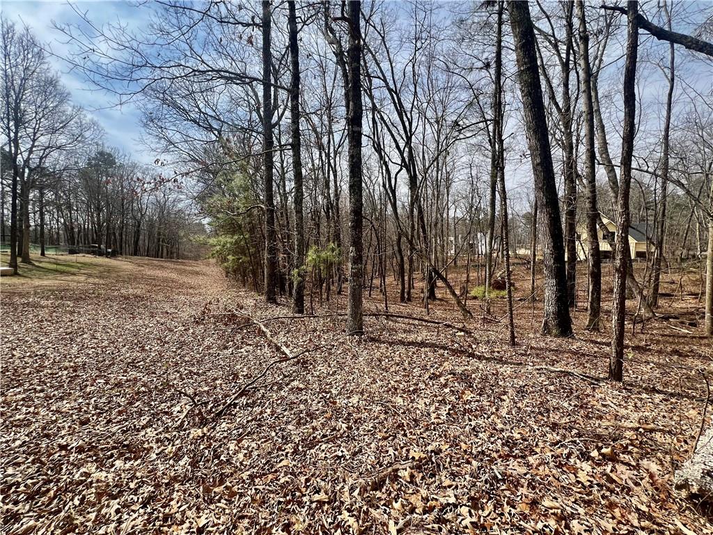 380 Henry Scott Road, Ball Ground, Georgia image 6