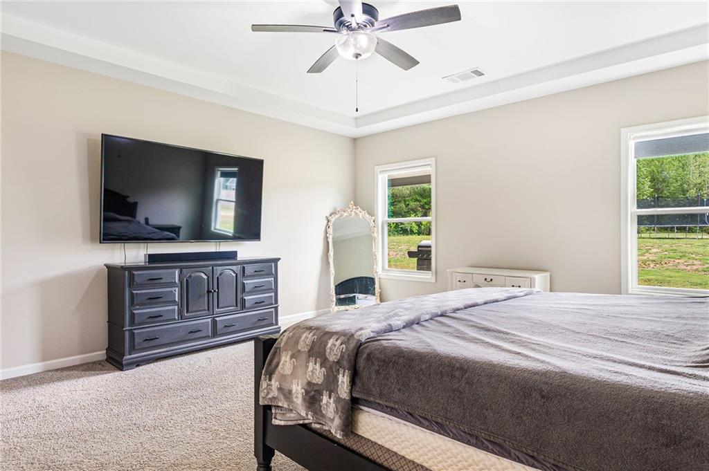 415 Paynes Lake Road, Carrollton, Georgia image 23