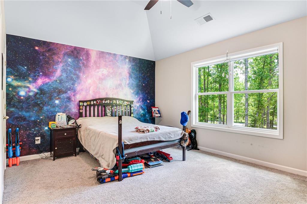 415 Paynes Lake Road, Carrollton, Georgia image 30