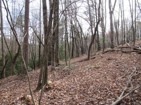 Vacant Land For Sale - Long Branch Road<br/> Dahlonega, GA 30533