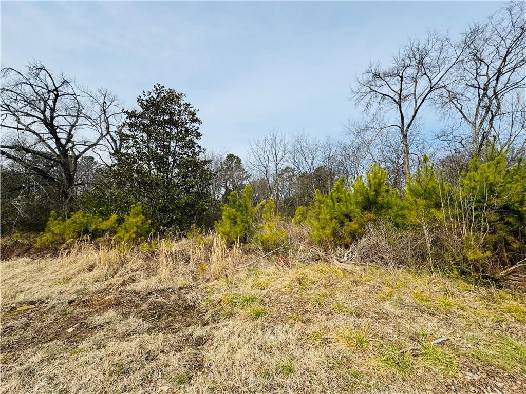479 Sandtown Road, Cartersville, Georgia image 4