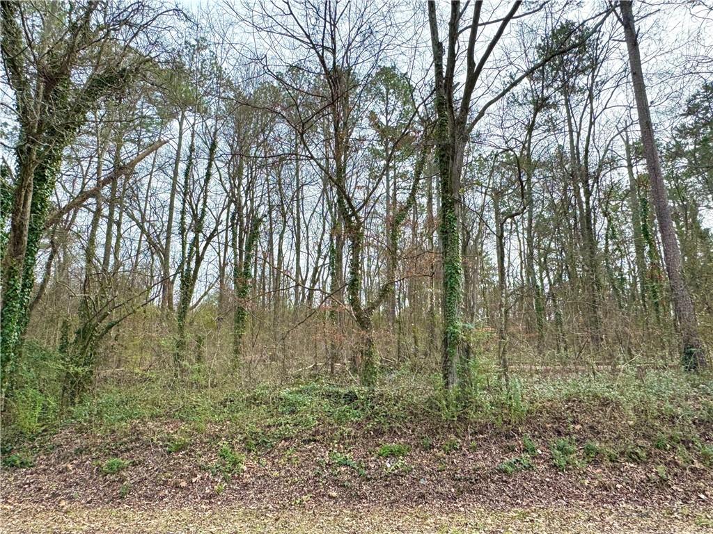 479 Sandtown Road, Cartersville, Georgia image 6
