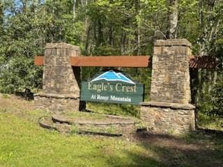 Eastview Trail, Ellijay, Georgia image 6