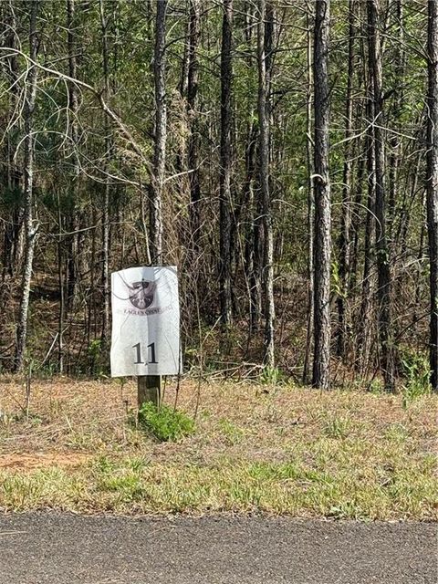 Vacant Land For Sale - Eastview Trail<br/> Ellijay, GA 30536