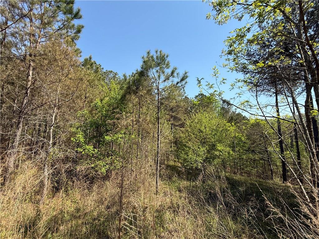 Eastview Trail, Ellijay, Georgia image 4
