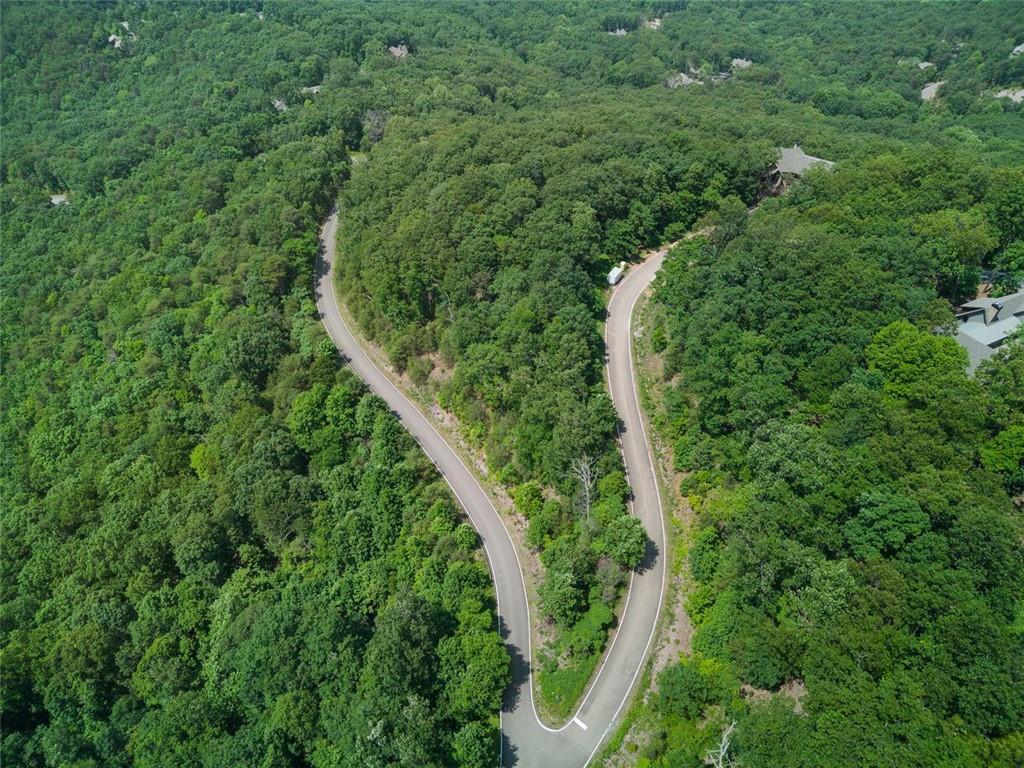 7347 Starlight Lane #7347, Big Canoe, Georgia image 9