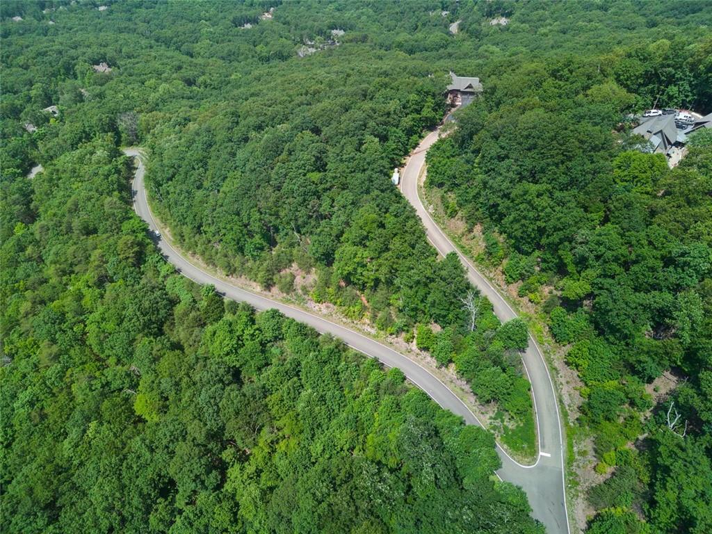 7347 Starlight Lane #7347, Big Canoe, Georgia image 8