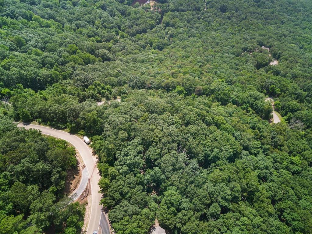 7347 Starlight Lane #7347, Big Canoe, Georgia image 5