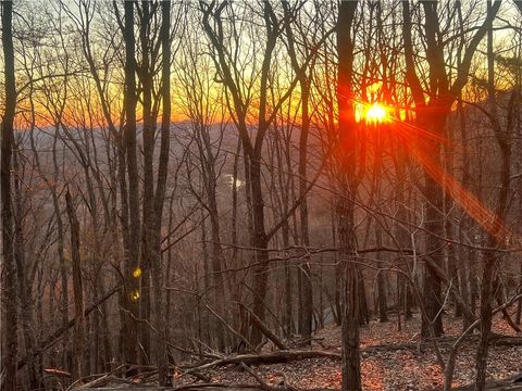 Vacant Land For Sale - 3395 Bella Vista Trail<br/> Jasper, GA 30143