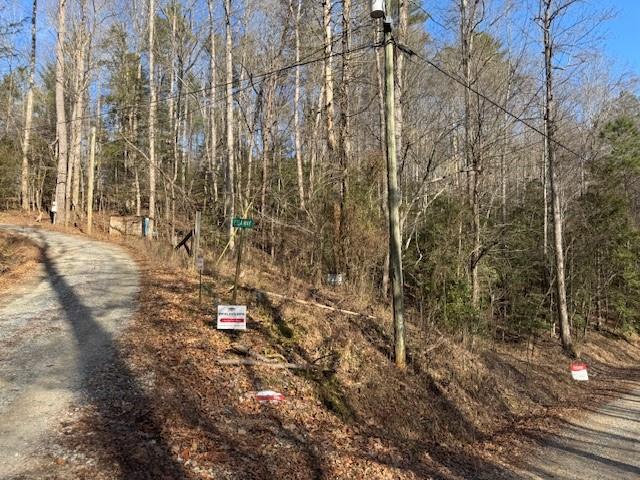 Lot 7 Hidden Valley Trail, Ellijay, Georgia image 7