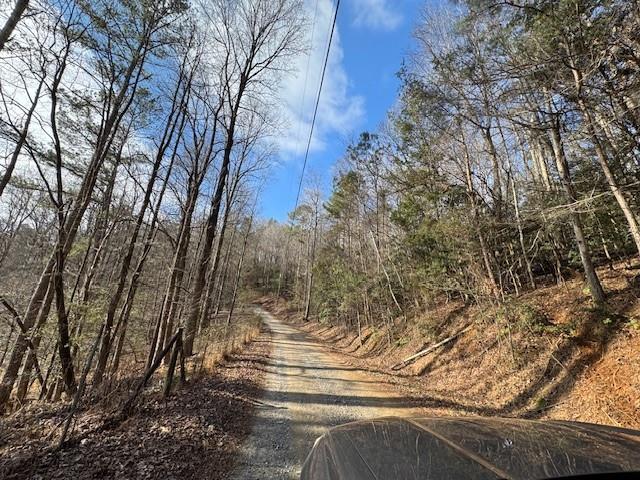 Lot 7 Hidden Valley Trail, Ellijay, Georgia image 8