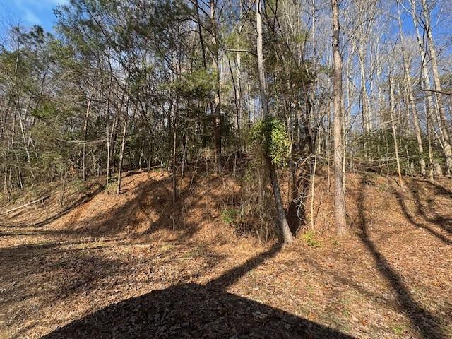 Lot 7 Hidden Valley Trail, Ellijay, Georgia image 6