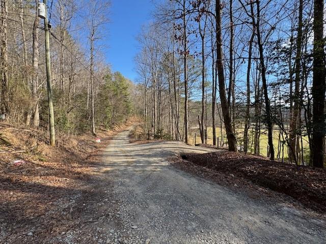 Lot 7 Hidden Valley Trail, Ellijay, Georgia image 5