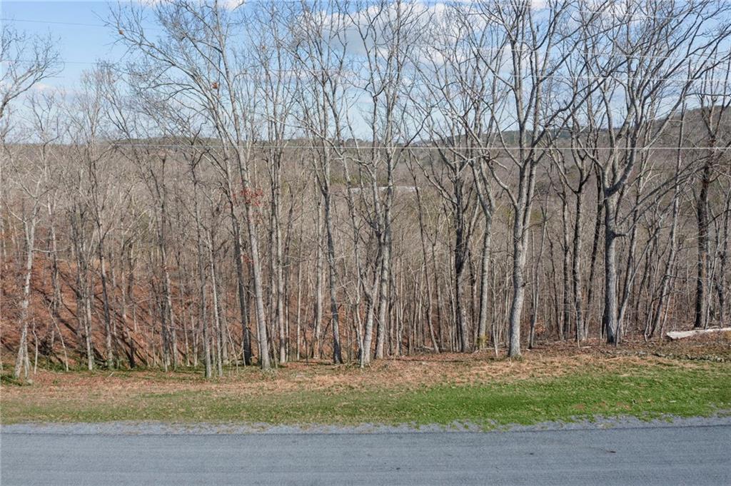 Lot 04 Blalock Mountain Road, Talking Rock, Georgia image 16