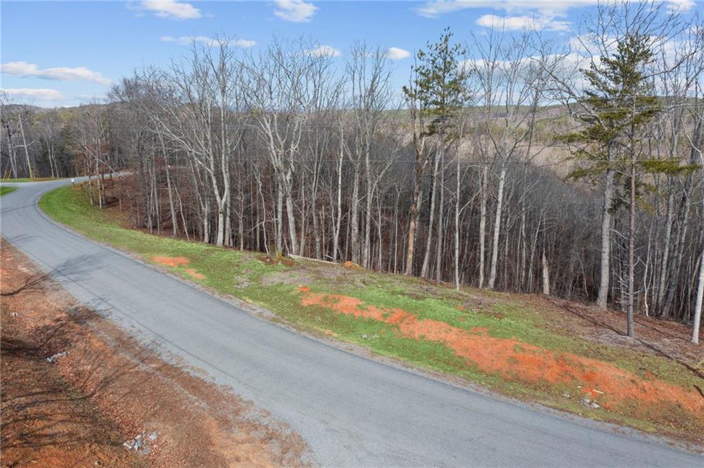 Lot 04 Blalock Mountain Road, Talking Rock, Georgia image 14