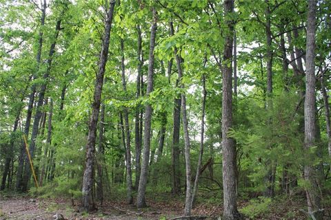 Vacant Land For Sale - 1427 Jasper Court<br/> Ranger, GA 30734